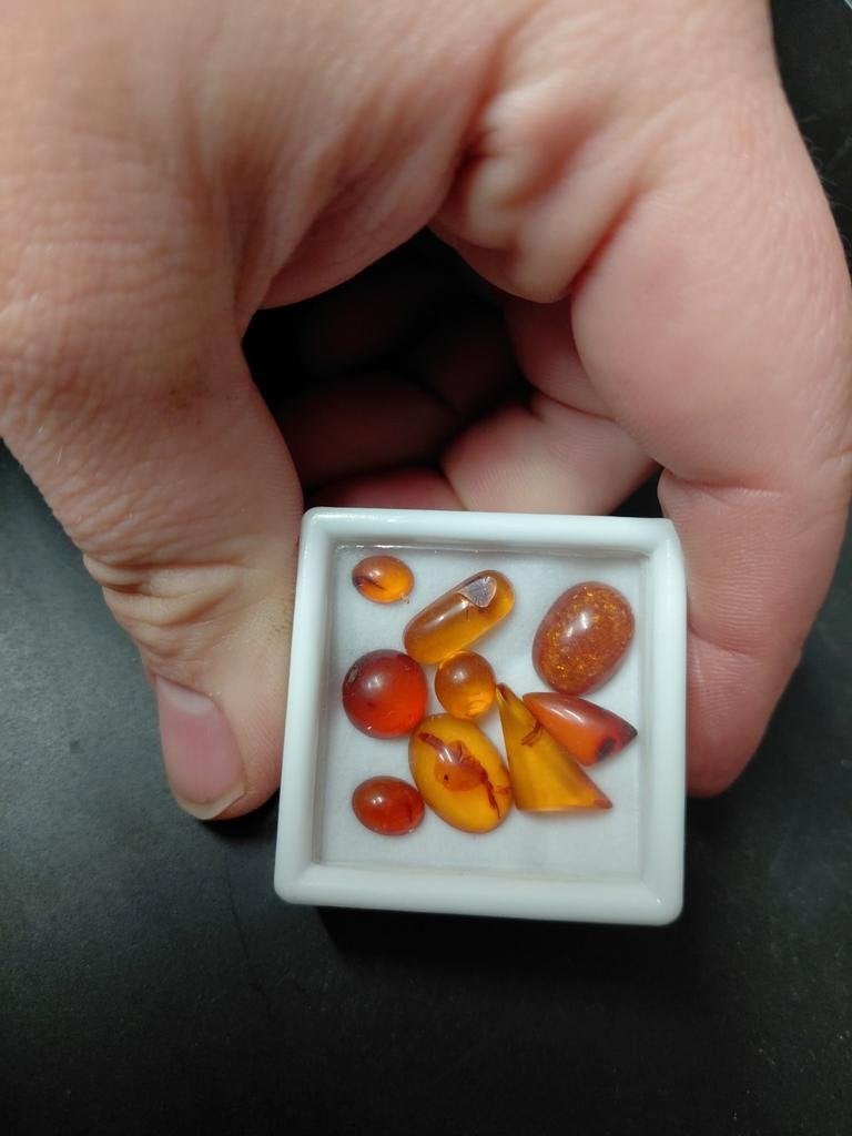 Lot Baltic amber cabochons, Ophalen of Verzenden