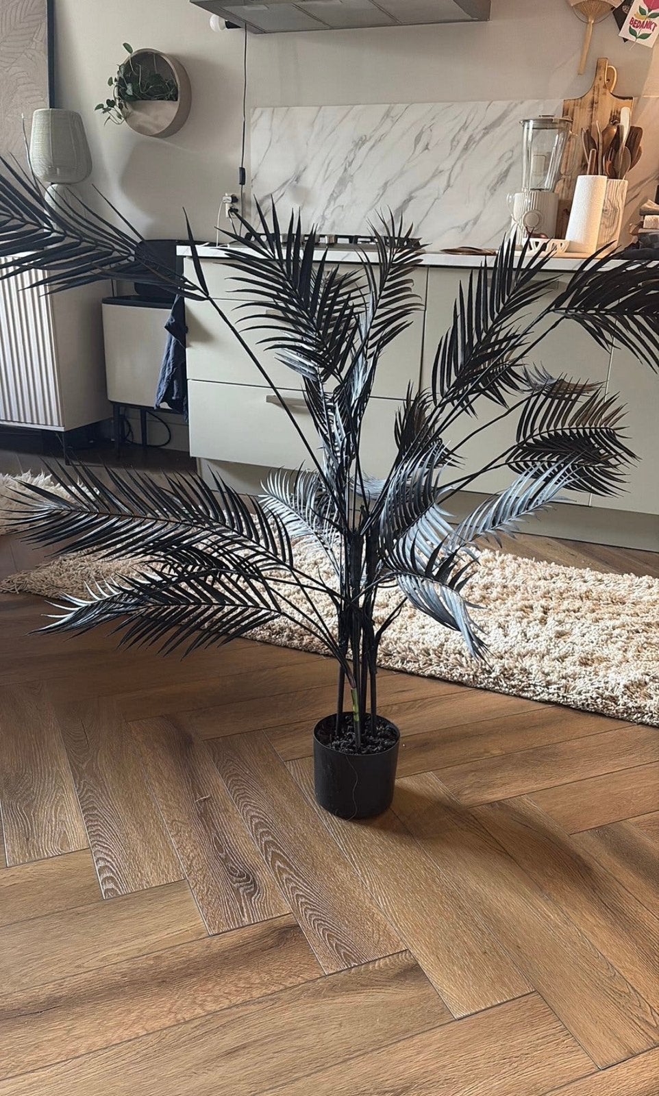 Light &Living zwarte palm, Ophalen, Zo goed als nieuw