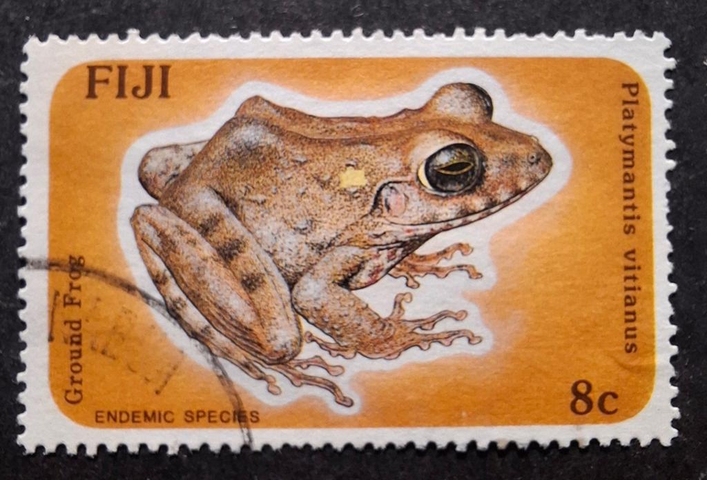 Fiji kikker, Ophalen of Verzenden