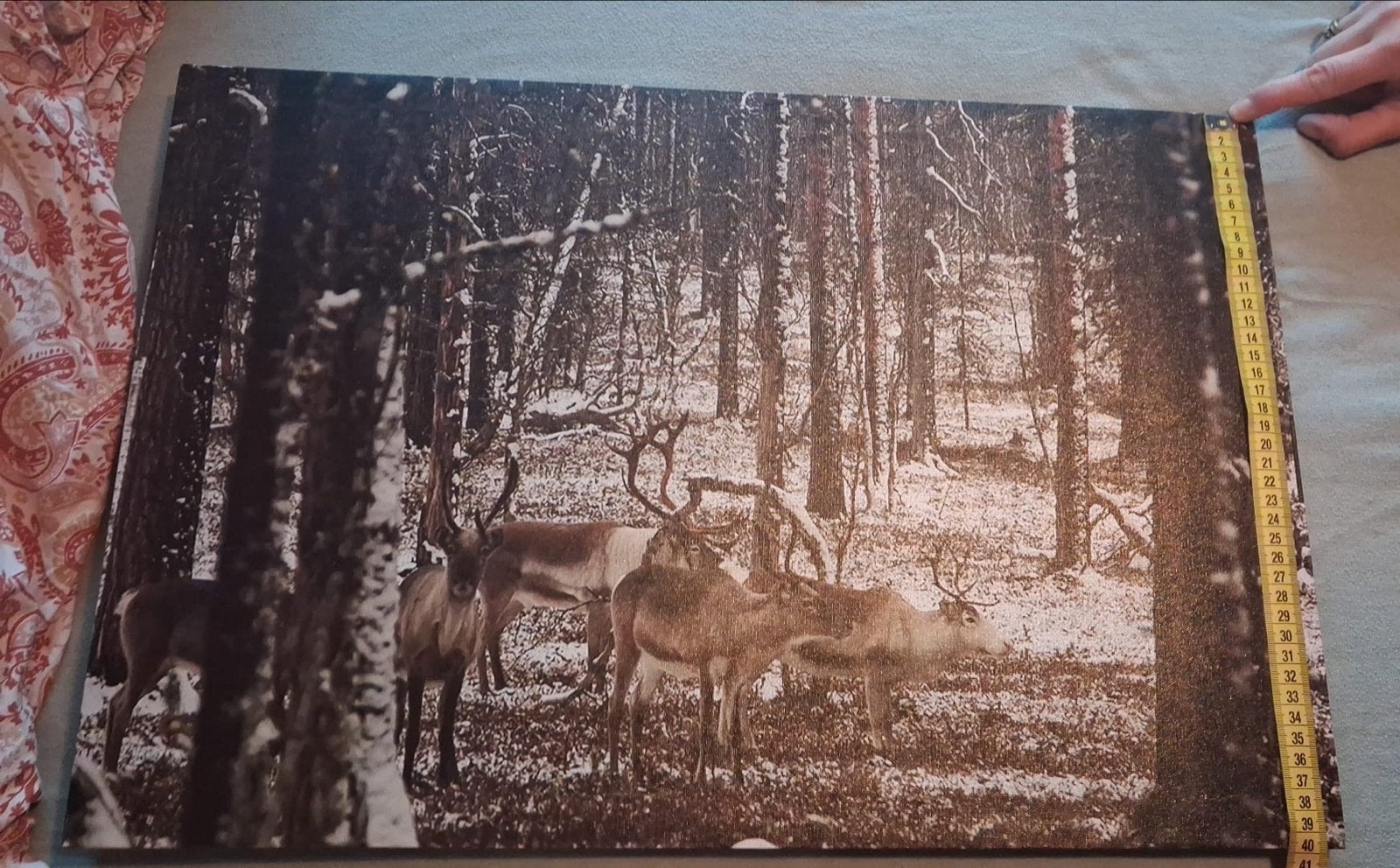Canvas schilderij met rendieren in besneeuwd bos, Ophalen of Verzenden, Gebruikt, 75 tot 100 cm, Schilderij