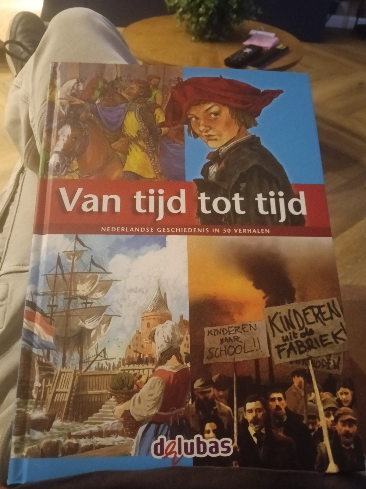 Van Tijd tot Tijd: Nederlandse Geschiedenis in 50 Verhalen, Boeken, Ophalen of Verzenden, 20e eeuw of later, Gelezen, Delubas
