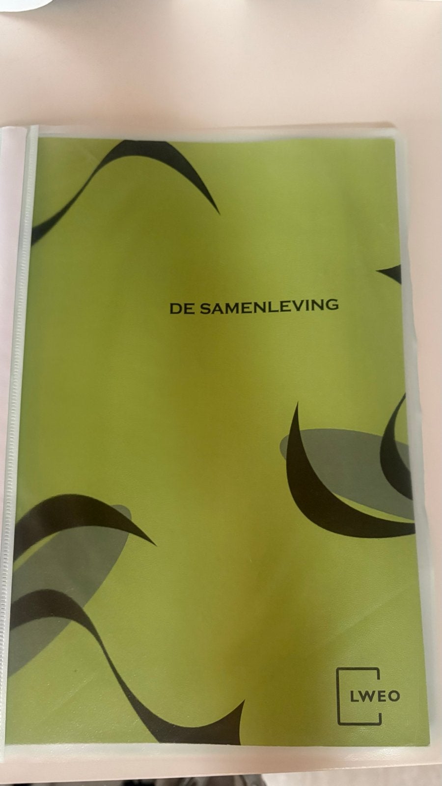 De Samenleving - LWEO economie vwo, Ophalen of Verzenden, Beta, Nieuw, Niet van toepassing