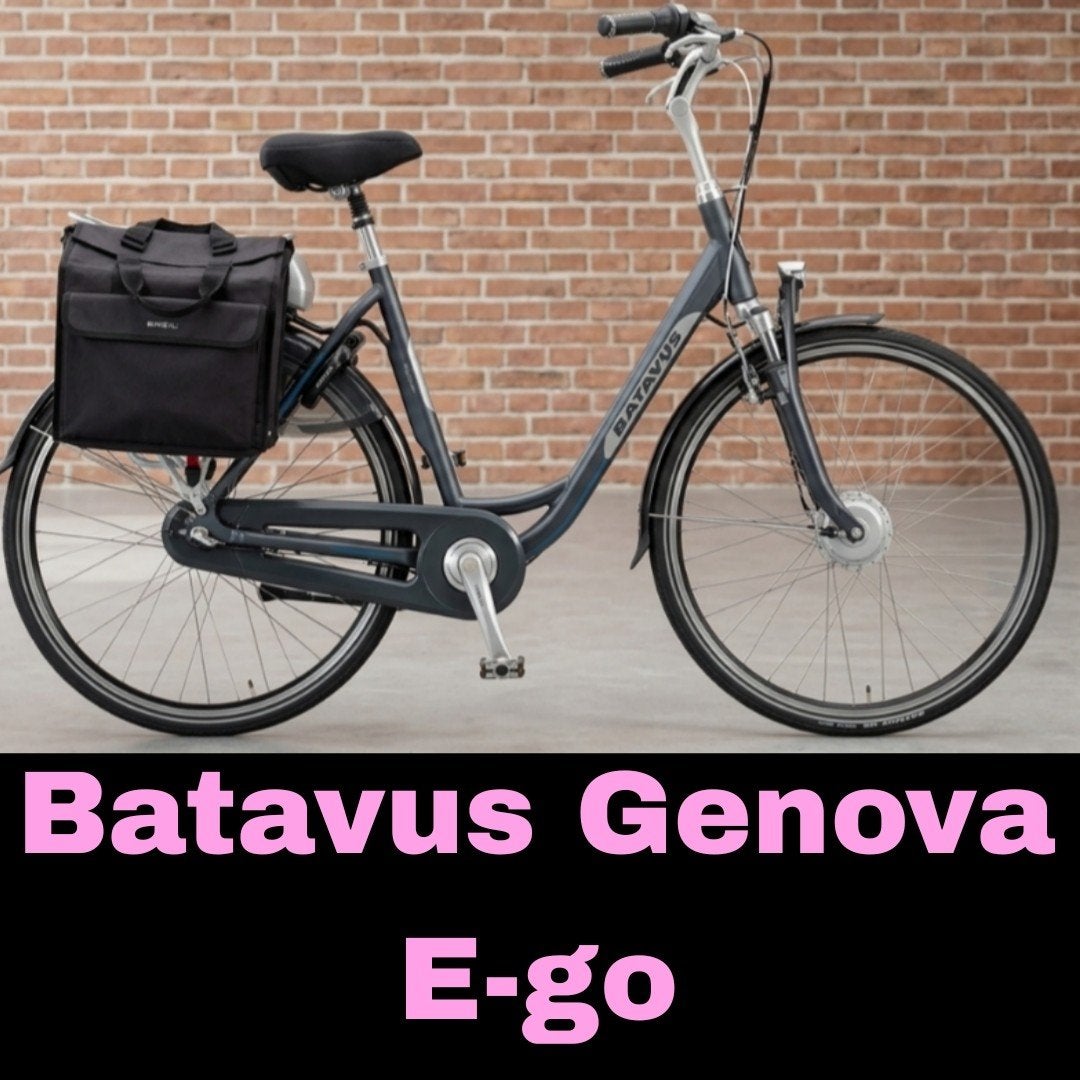 BATAVUS GENOVA E-GO XN7 ZILVER-MAT 53, Ophalen, Gebruikt, Batavus