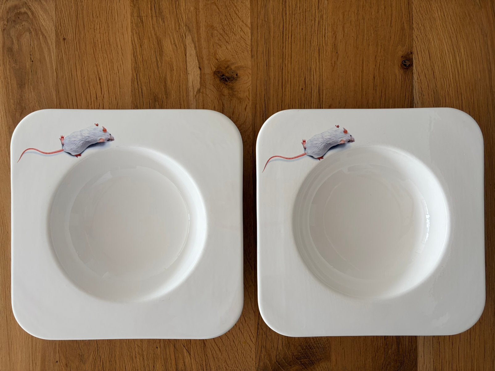 Royal Goedewaagen 2 borden wit met muis design!!!, Gebruikt, Overige merken, Ophalen of Verzenden, Bord(en)