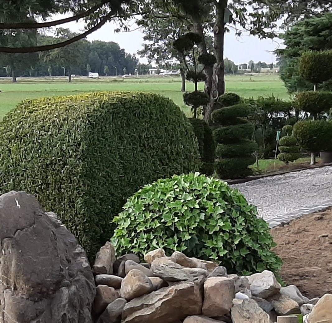 Tuinman/Hovenier, Tuin en Terras, Ophalen of Verzenden, Nieuw, 20 m² of meer