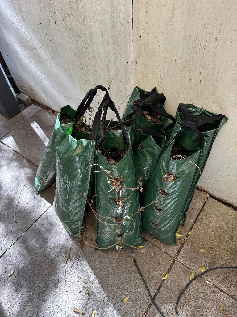Kweekzakken voor planten - set van 6, Ophalen, Kunststof, Gebruikt, Minder dan 60 cm