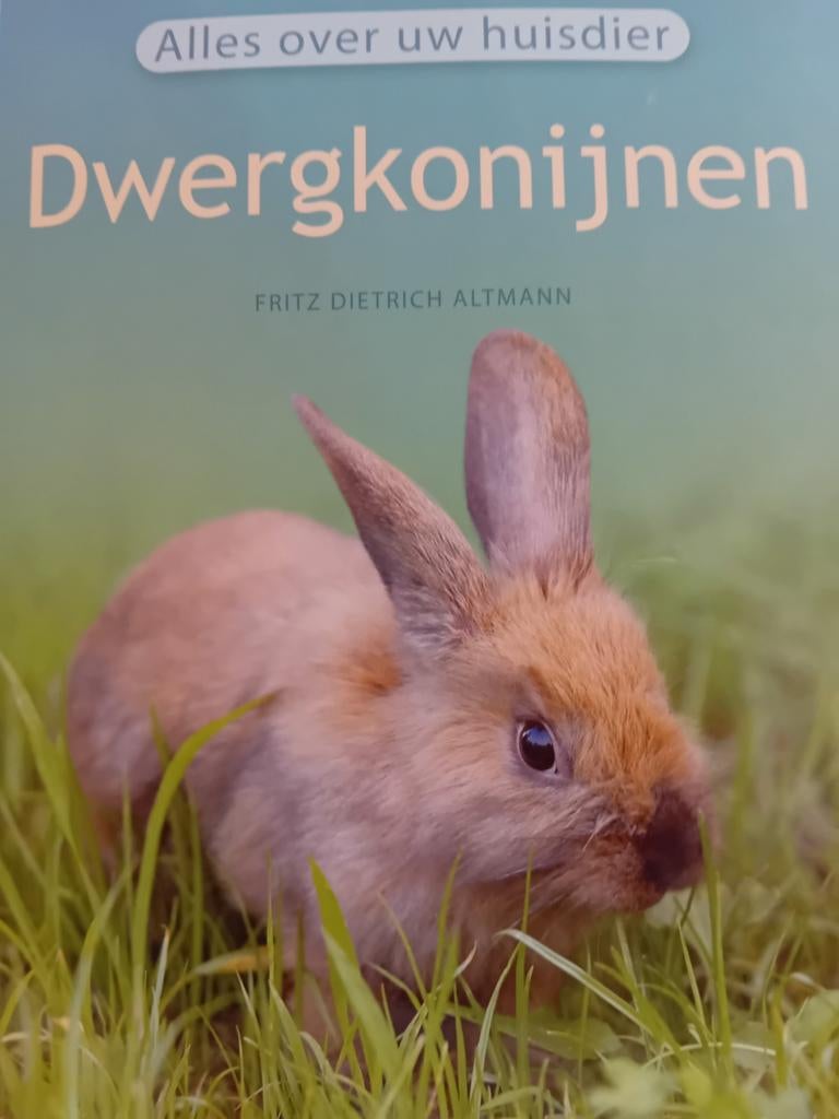 Boek over dwergkonijnen, Ophalen of Verzenden, Zo goed als nieuw