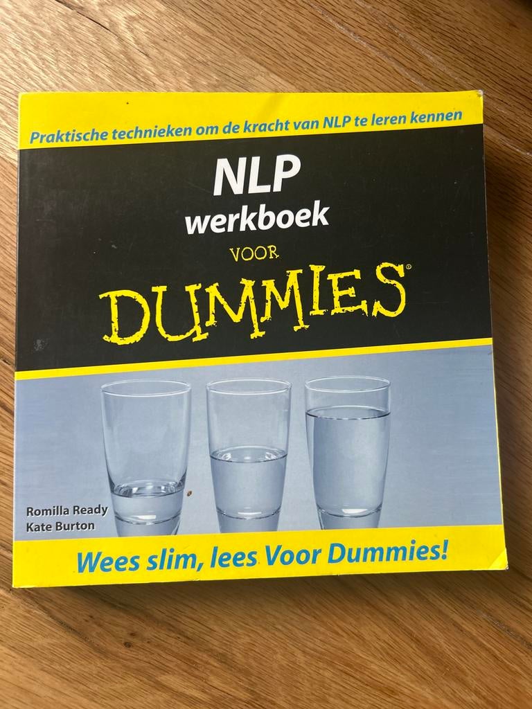 NLP Werkboek voor Dummies - Romilla Ready & Kate Burton, Boeken, Ophalen of Verzenden, Gamma, Gelezen, Overige niveaus