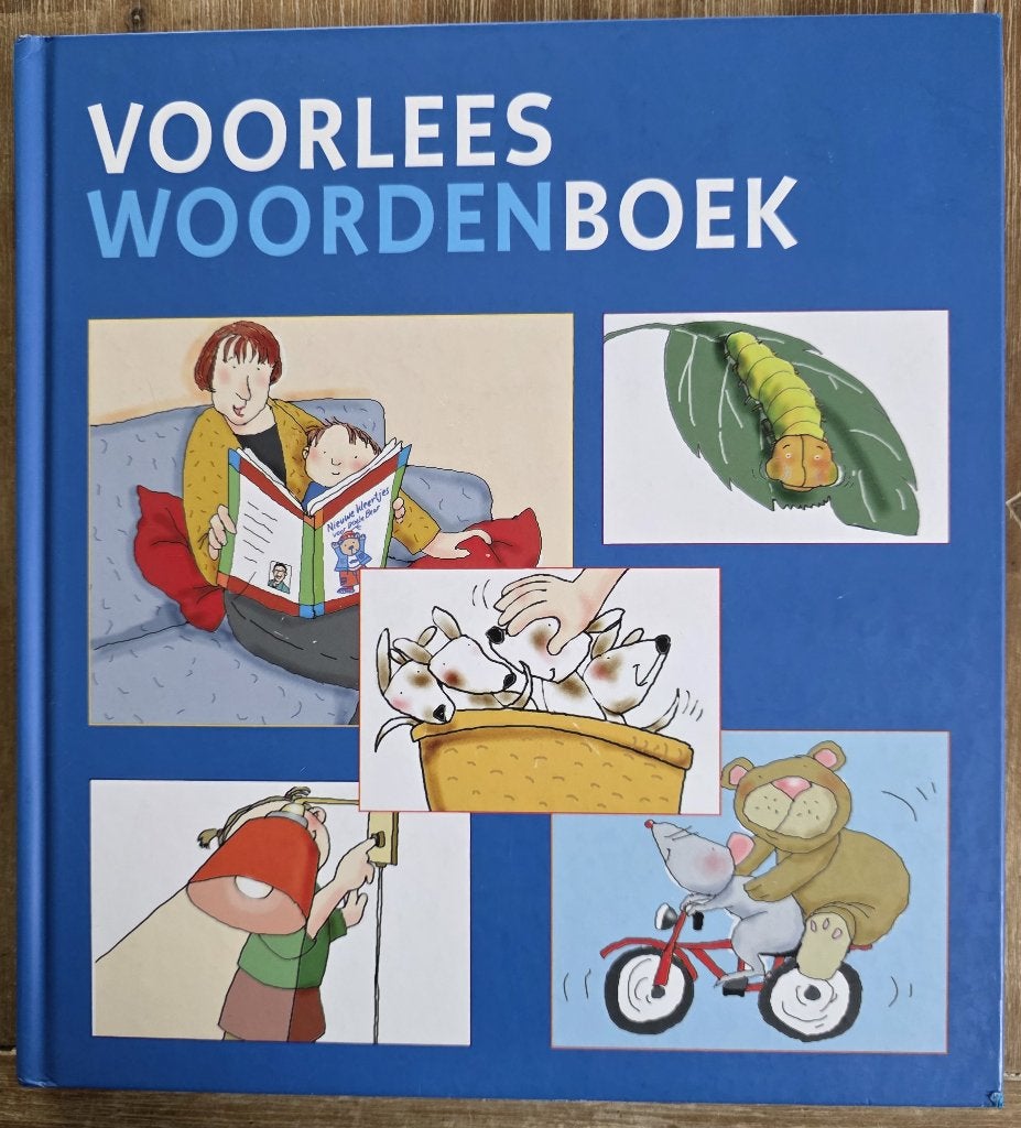 Van Dale Voorleeswoordenboek, Ophalen of Verzenden, Zo goed als nieuw, 2 tot 3 jaar