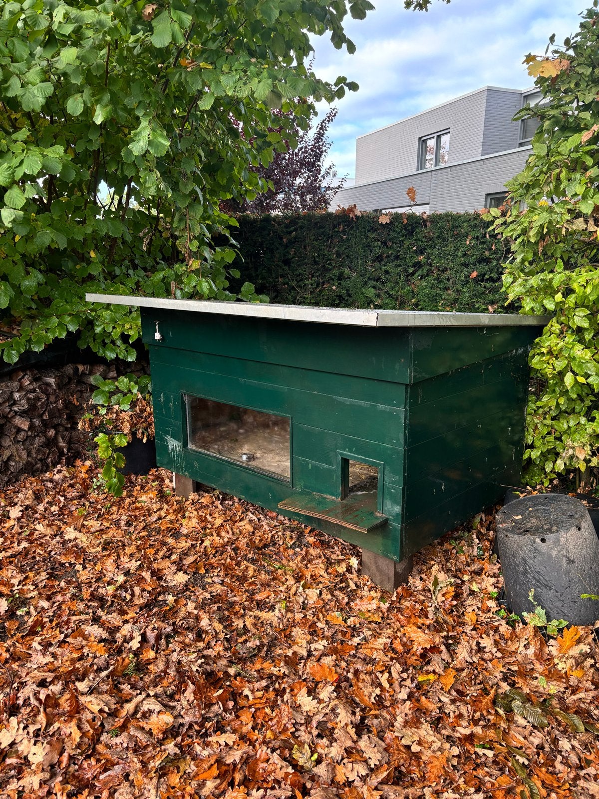 Te koop stevig Kippenhok, Dieren en Toebehoren, Ophalen of Verzenden, Kippenhok of Kippenren