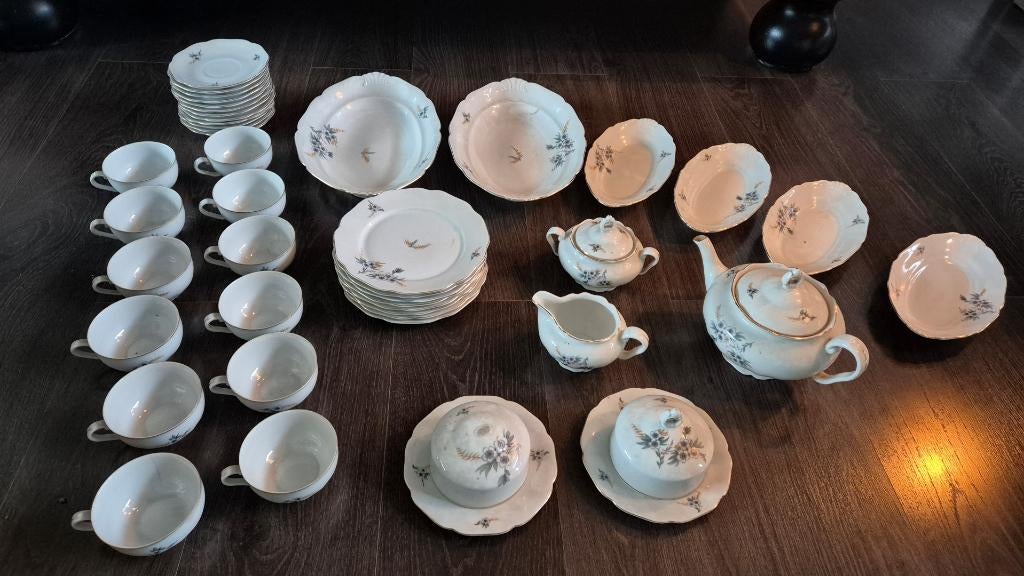 Mooi compleet servies uit Tsjechoslowakije, Antiek en Kunst, Antiek | Servies compleet, Ophalen of Verzenden