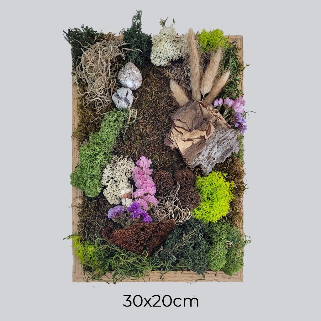 diy pakket mosschilderij, Ophalen of Verzenden, Nieuw, Knutselwerk