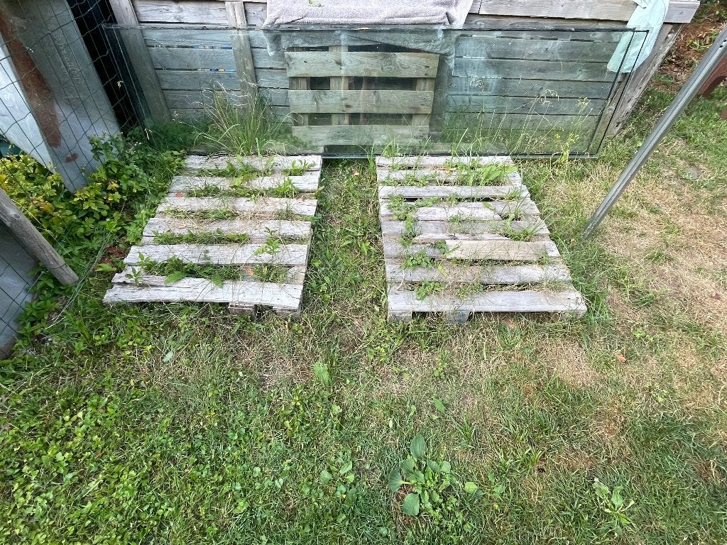 3 x gelaagd glas (helder), Tuin en Terras, Ophalen, Gebruikt, Veranda