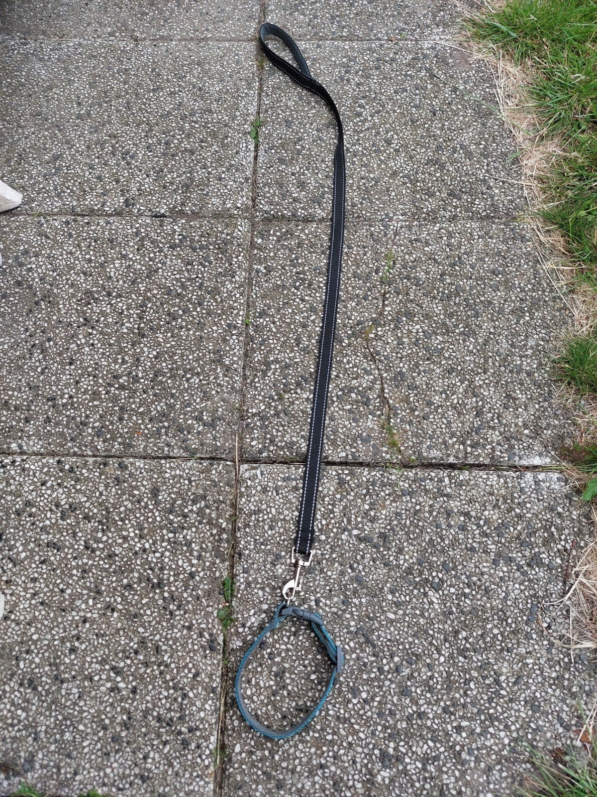 Honden riem voor klijne Honden op halen, Ophalen