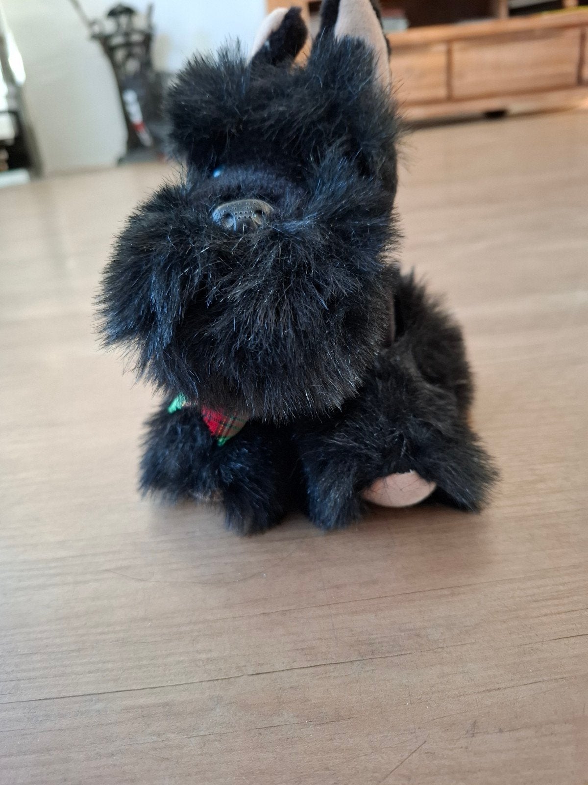 Knuffel Schotse Terriër - Zwart met Schotse Kraag, Zwart, Zo goed als nieuw, Met kleding of accessoire, Hond