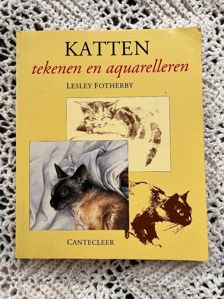 Leuk boek over tekenen en aquarelleren van katten, Ophalen of Verzenden, Zo goed als nieuw, Boek of Gids