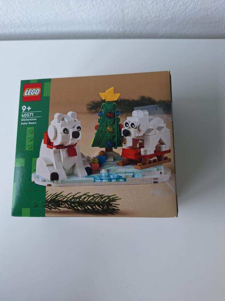 LEGO 40571 Wintertijd IJsberen - ZGAN en Compleet, Overige thema's, Lego, Ophalen of Verzenden, Zo goed als nieuw