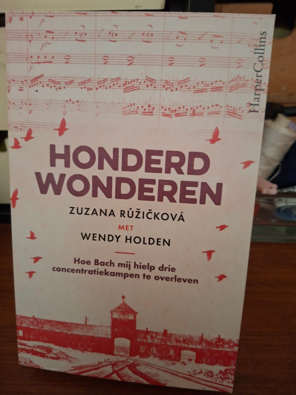 Wendy Holden - Honderd wonderen, Boeken, Verzenden, Zo goed als nieuw, Wendy Holden; Zuzana Ruzickova
