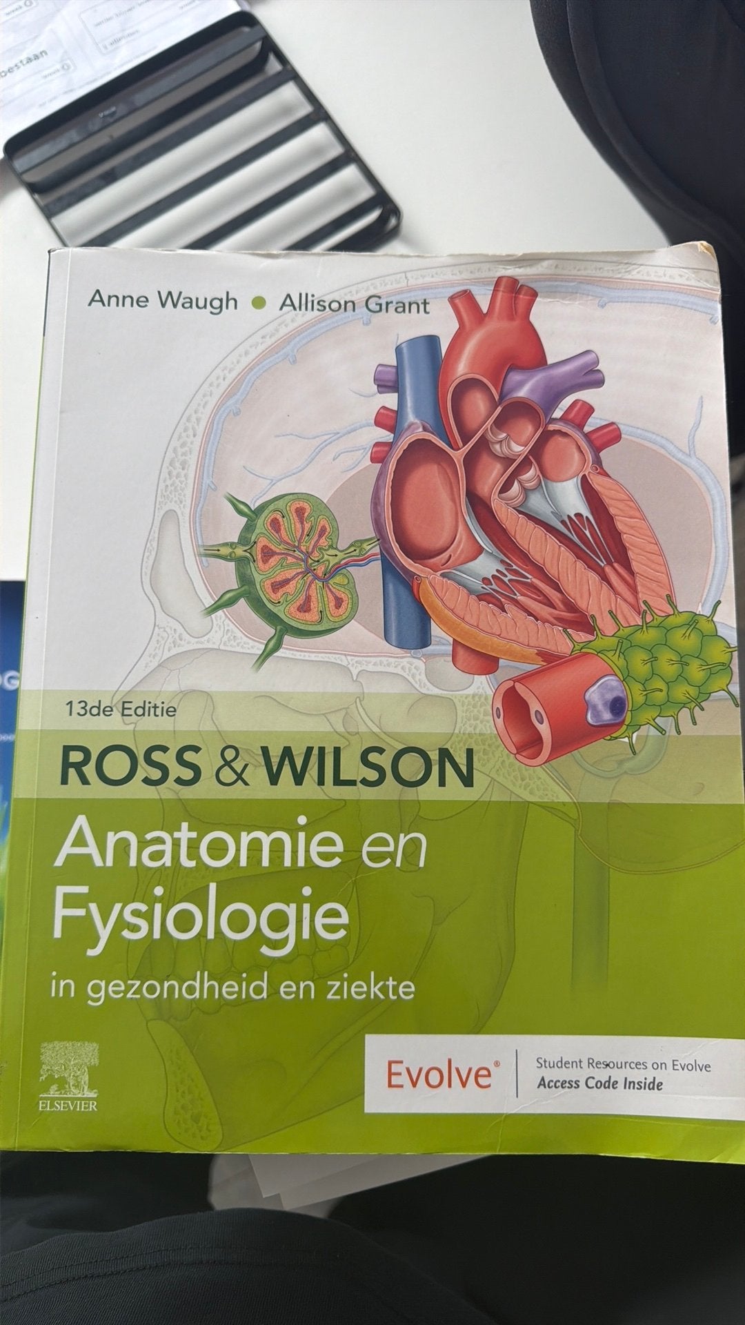 Anatomie & Fysiologie - Ross & Wilson, Boeken, Ophalen of Verzenden, Beta, Zo goed als nieuw, HBO