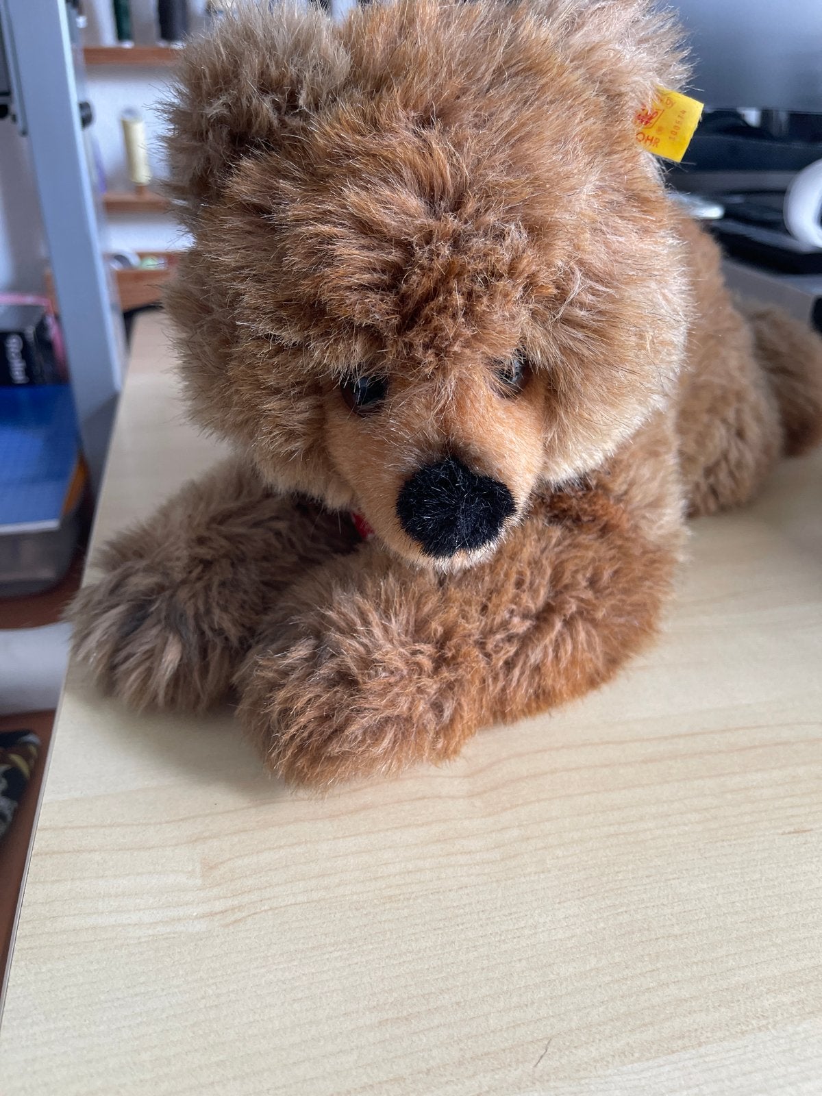 Steiff Bär Molly - 40 cm knuffelbeer, Ophalen of Verzenden, Zo goed als nieuw