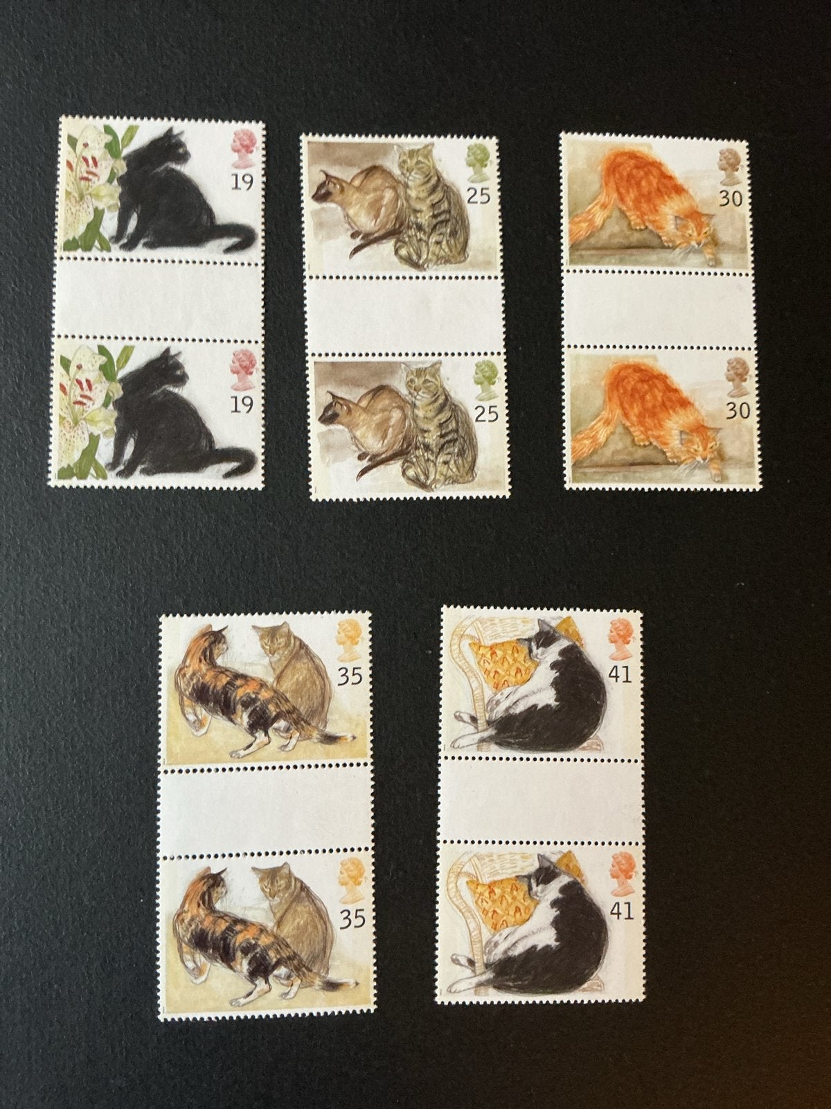 Katzen Cats  katten UK  - Diverse rassen, Verzenden, Postfris, Dier of Natuur