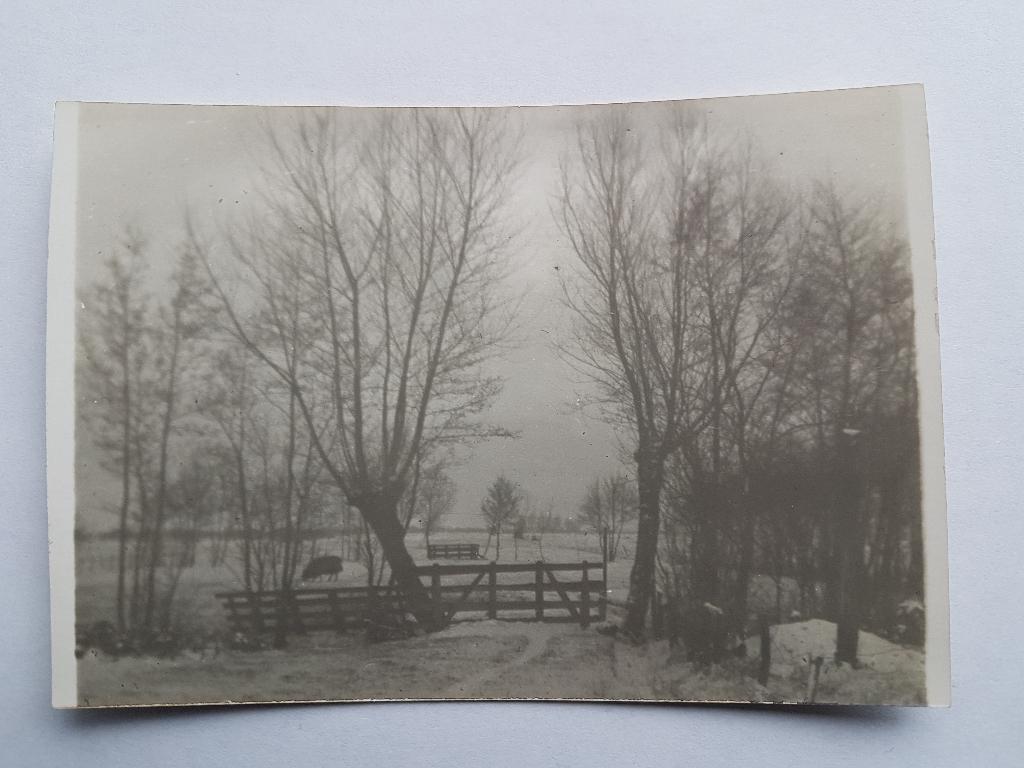 Foto doorkijkje Voorstraat oud Zwaagwesteinde, Ophalen of Verzenden, Ongelopen, Friesland