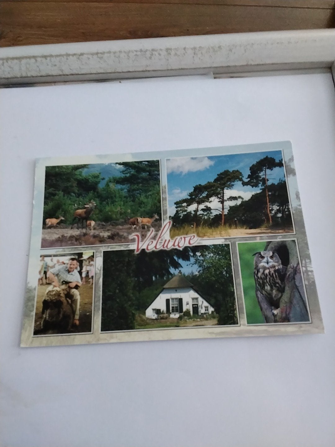 Ansichtkaart Veluwe met herten, uil en boerderij, Ophalen of Verzenden, Gelderland