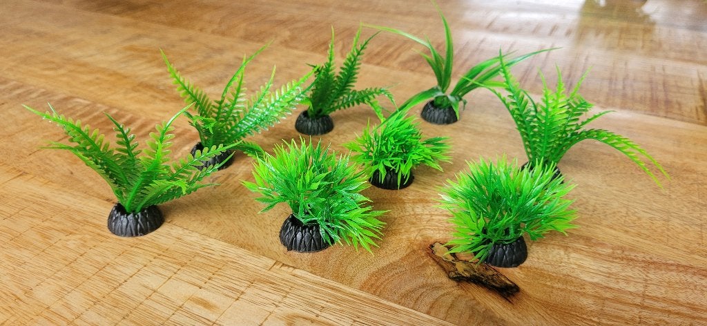 Nieuw! waterplanten waterplantjes plantjes voor aquarium, Ophalen of Verzenden, Nieuw, Plant(en), Steen of Hout