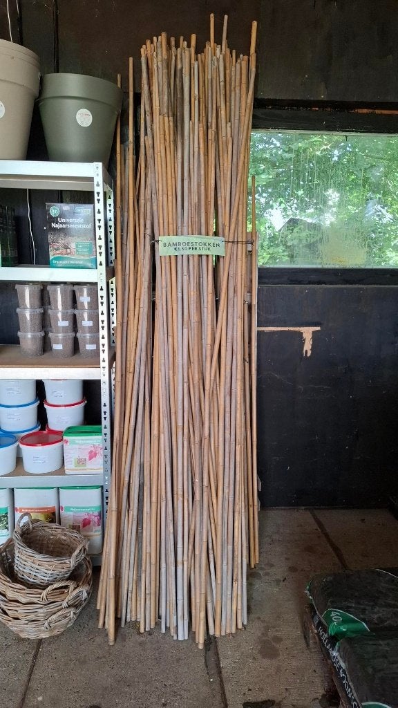 Bamboestokken , diverse maten, Tuin en Terras, Ophalen, Gebruikt, Overige typen