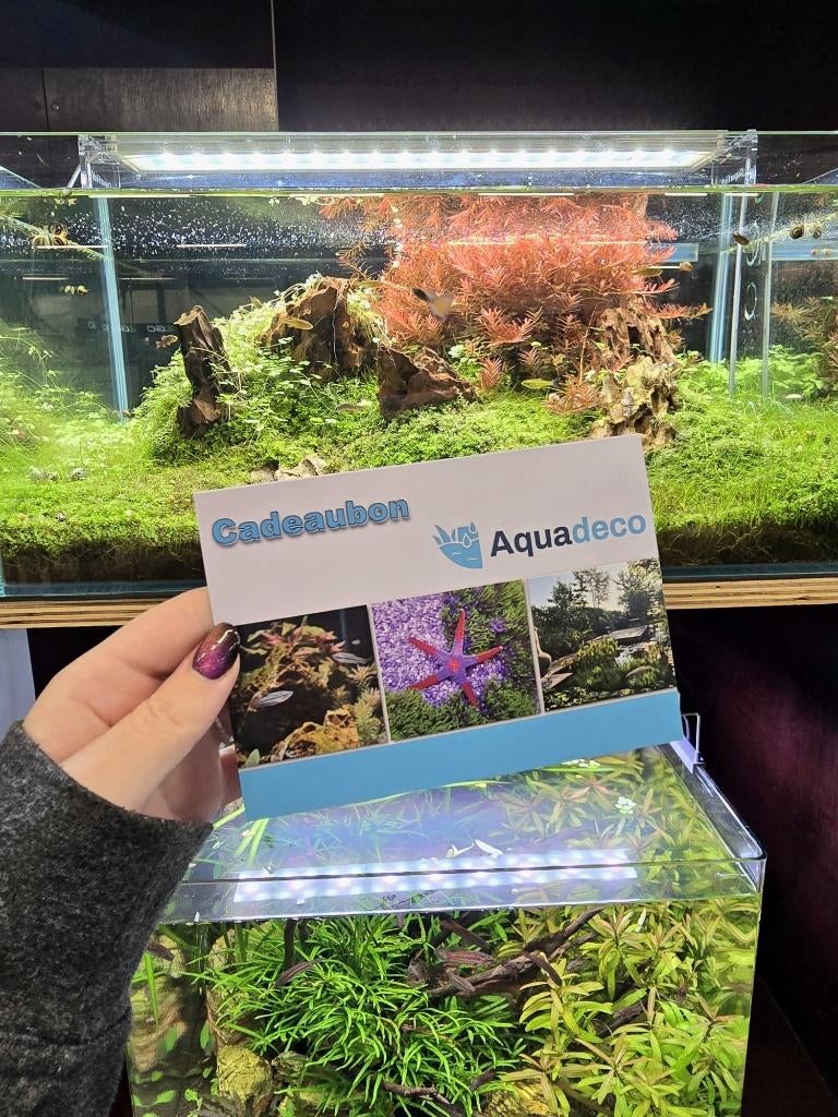 waardebon, Ophalen, Info@aquadeco.nl, Overige typen, Nieuw