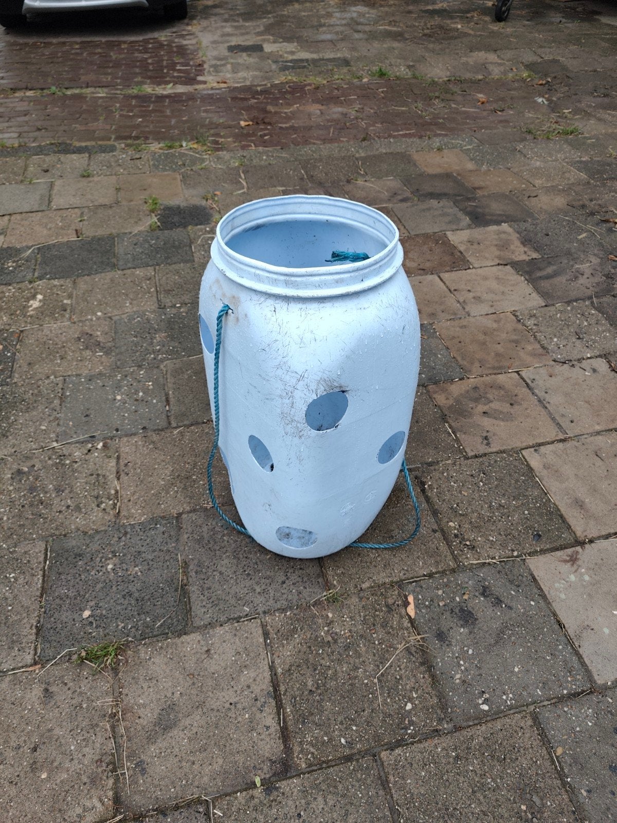 Hooiton, Dieren en Toebehoren, Vrouwelijk, Geit