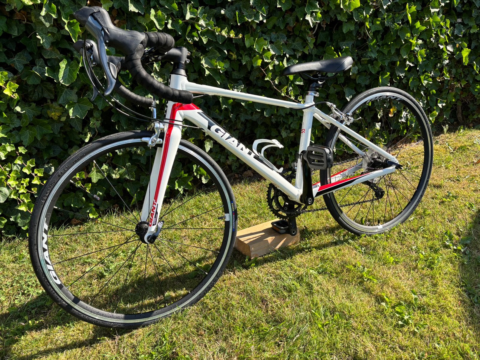 Giant TCR kids (vanaf 8 jaar), Ophalen, Velgrem, Aluminium, Meer dan 20 versnellingen
