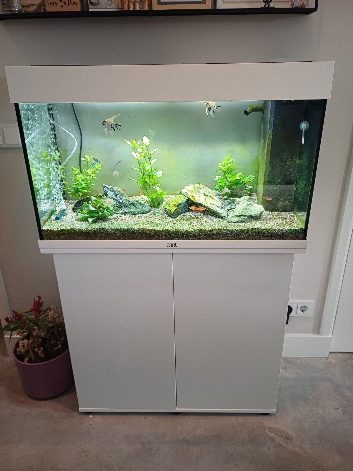 juwel Rio 125, Dieren en Toebehoren, Ophalen, Pomp, Zo goed als nieuw, Juwel