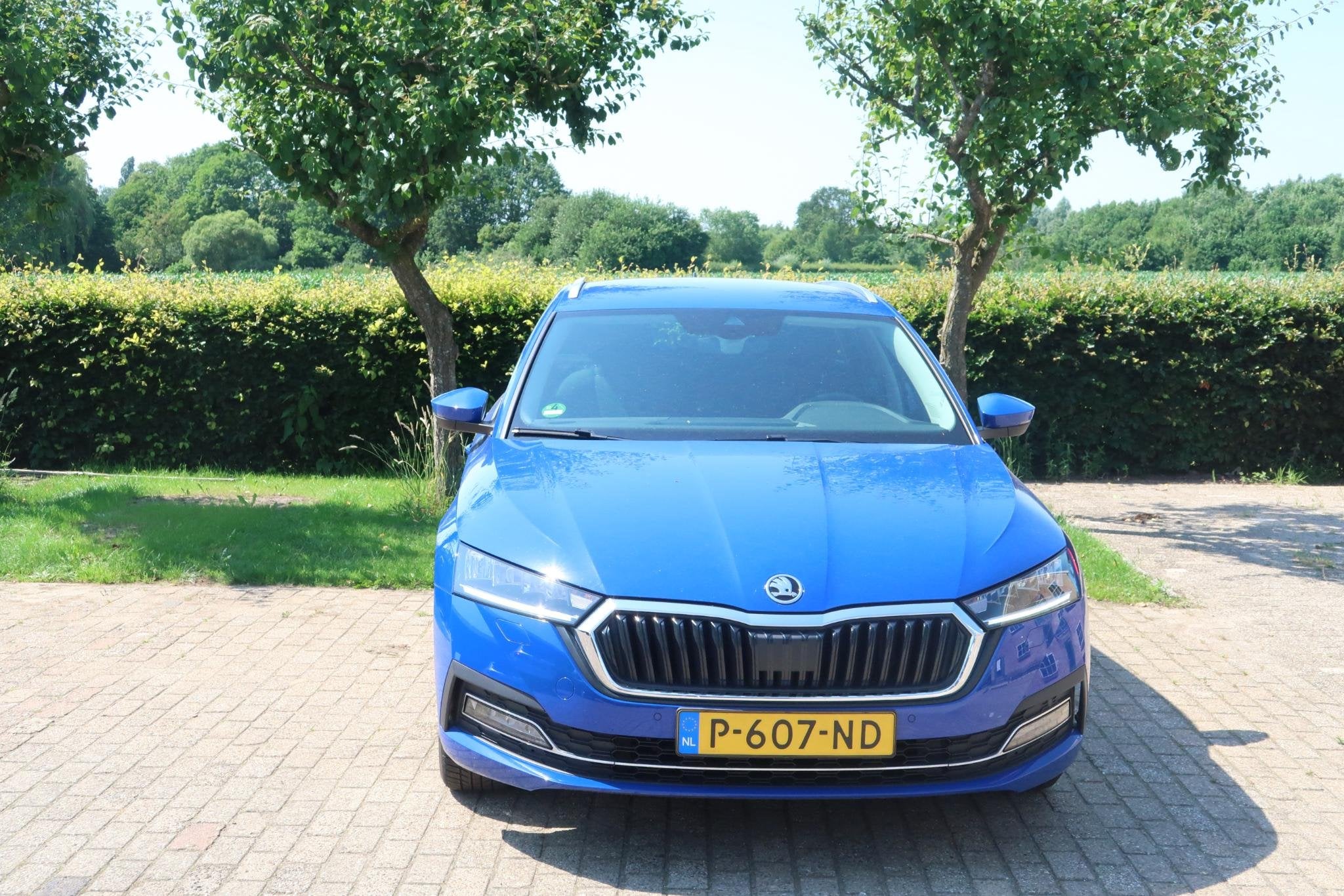 Skoda Octavia Combi 1.0 TSI Business Edition Plus, Stof, Gebruikt, Met garantie (alle), Blauw