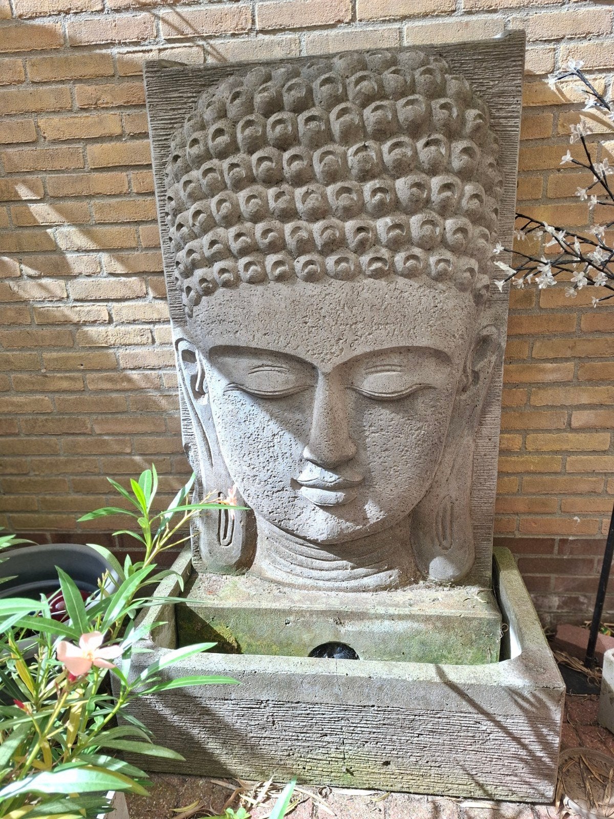 buddha, Ophalen, Gebruikt, Massief, 155 cm