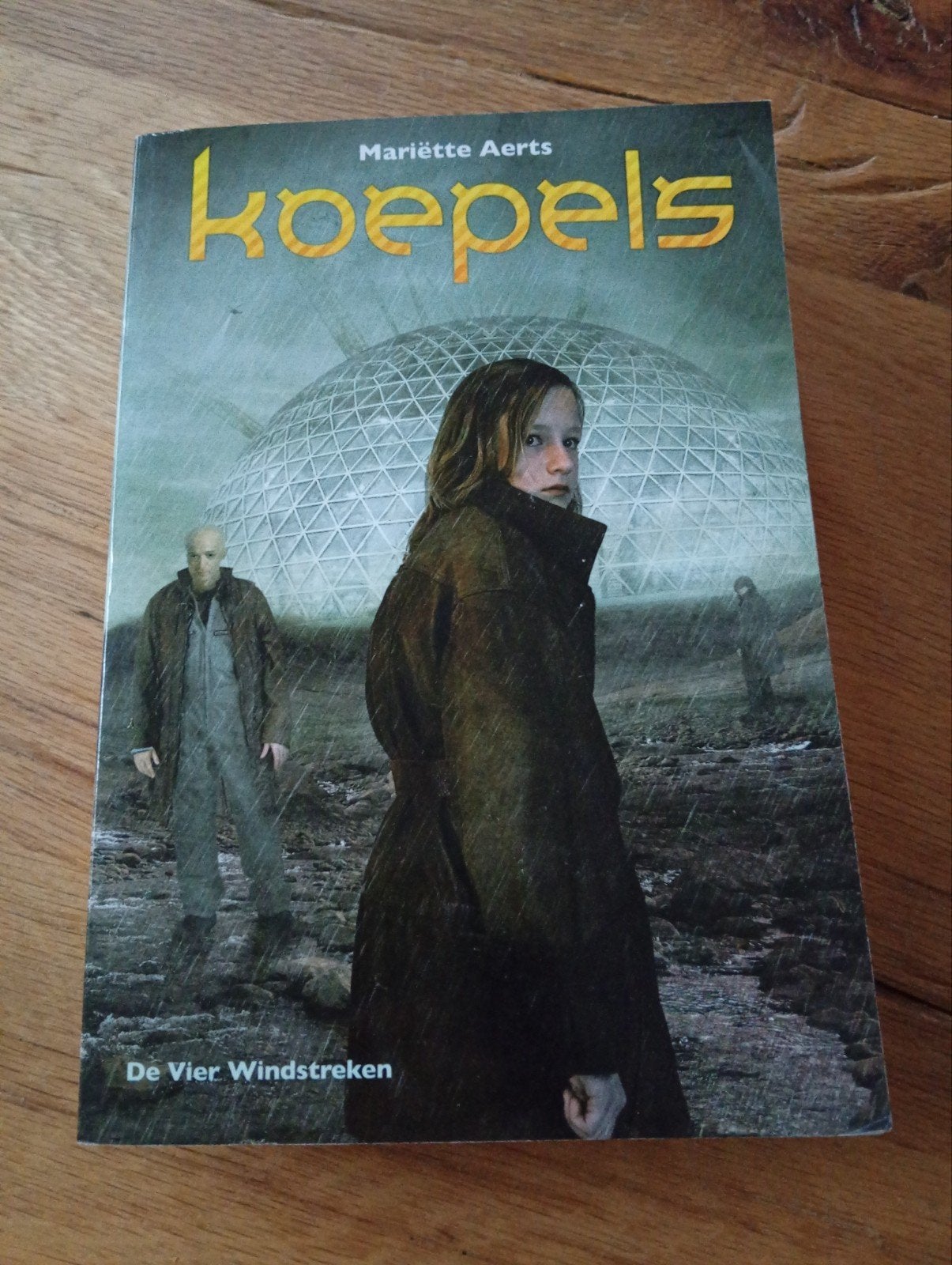 Koepels - Mariëtte Aerts (Jeugdboek), Boeken, Gelezen, Ophalen of Verzenden, Mariëtte Aerts, Nederland