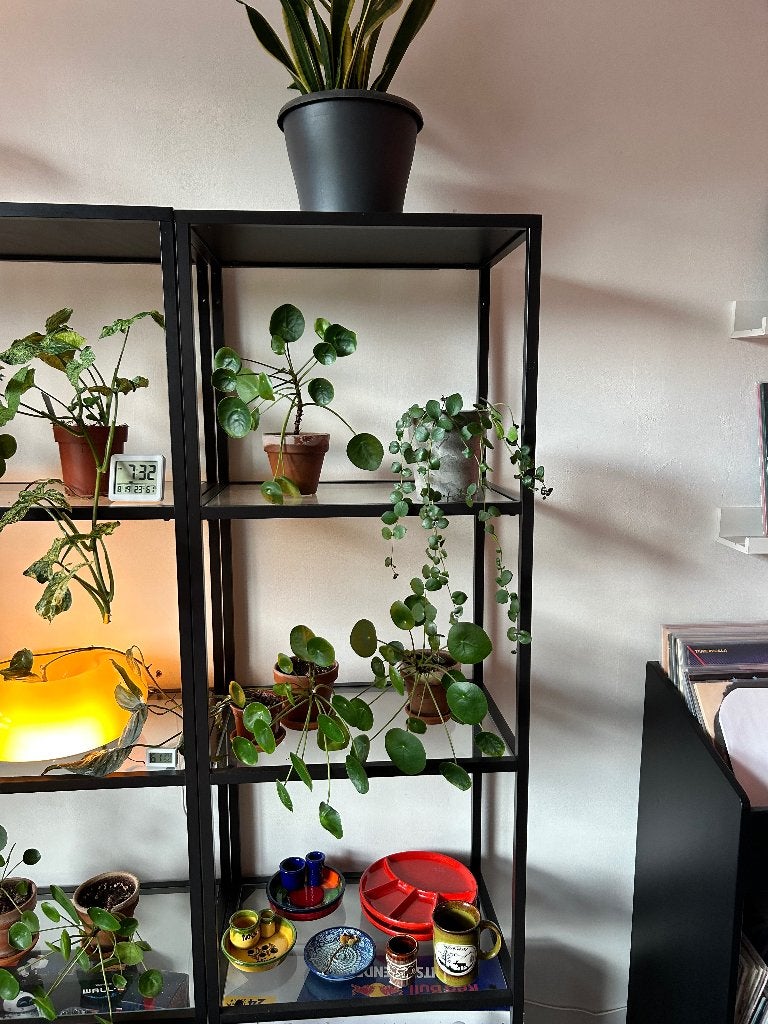 Glazen stellingkast, ikea, Ophalen, Nieuw