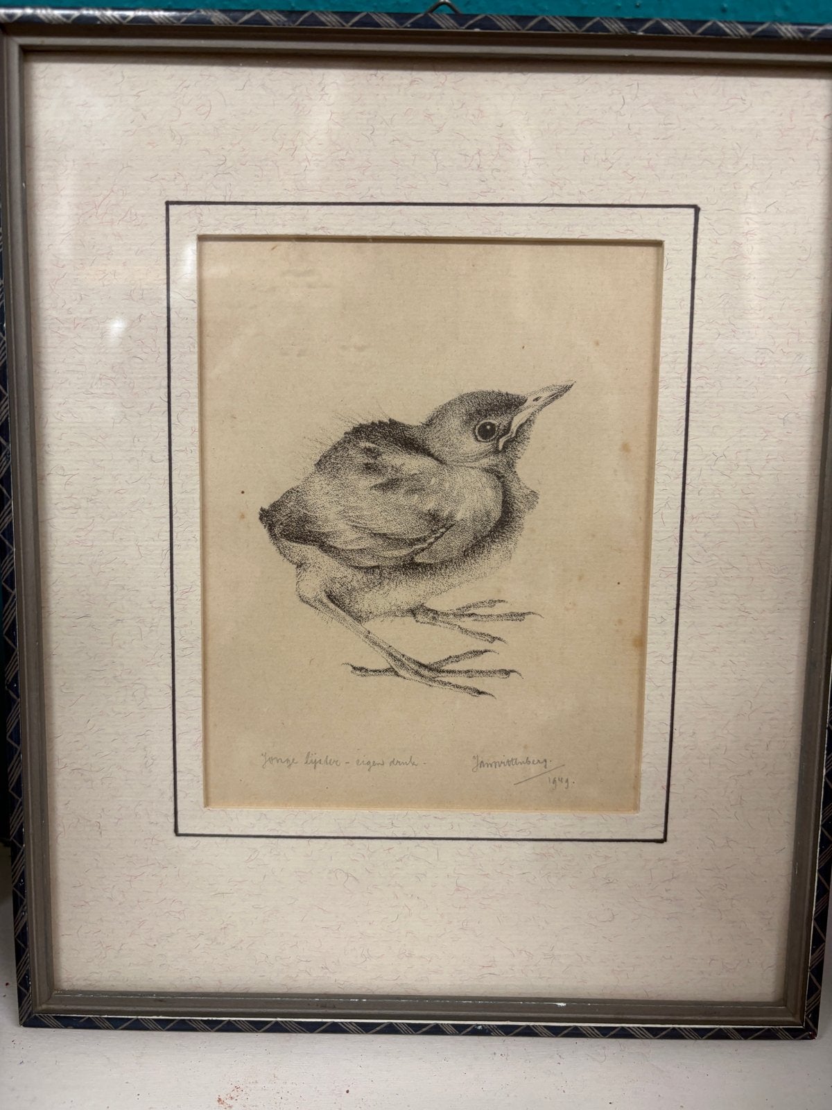 Jonge lijster - eigen druk - Jan Veth 1949, Ophalen of Verzenden, Print, Prent, Gesigneerd