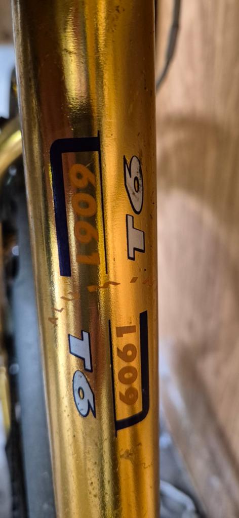 Goud-21.5 inch-GIANT-MTB-ALUMINIUM, Fietsen en Brommers, 53 tot 57 cm, Ophalen, Giant