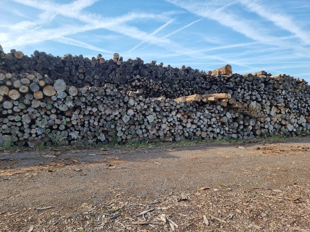 Rondhout, stamhout, haardhout, openhaardhout, eik, beuk, es, 6 m³ of meer, Ophalen, Beukenhout, Stammen