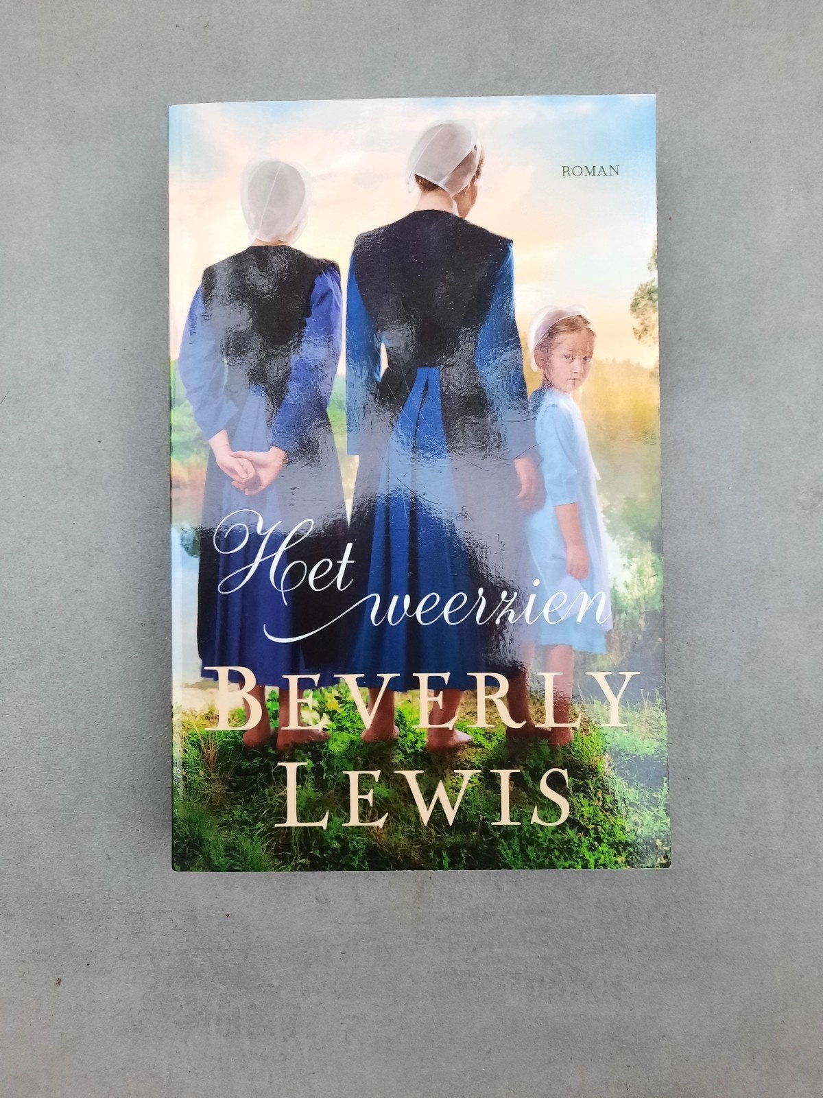 Het weerzien - Beverly Lewis (Roman), Boeken, Romans, Ophalen of Verzenden, Zo goed als nieuw, Beverly Lewis, Amerika