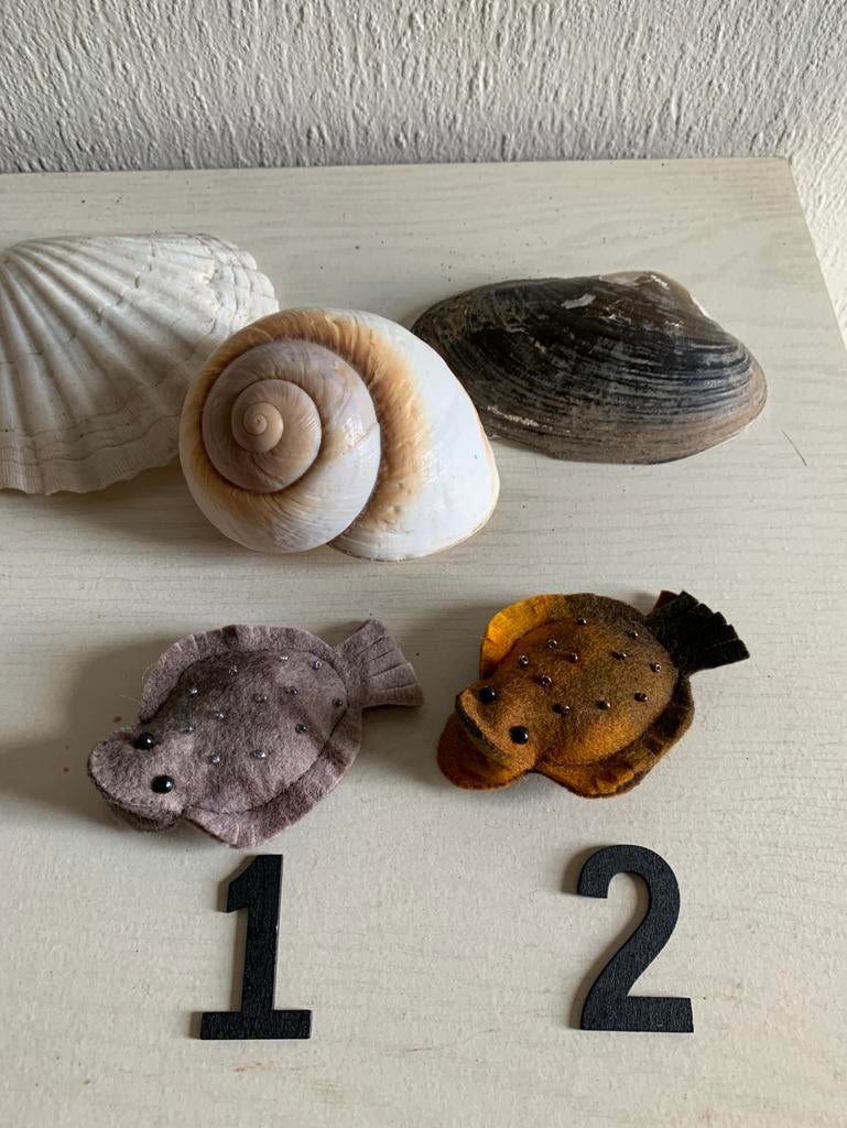 Platvis van Sprookjesvilt voor de Seizoenstafel, Ophalen of Verzenden, Nieuw, Figuurtje(s), Wolvilt