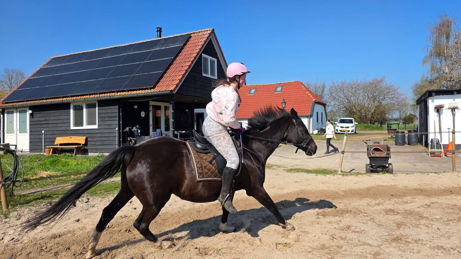 Verzorg /lease paard gezocht, Ophalen