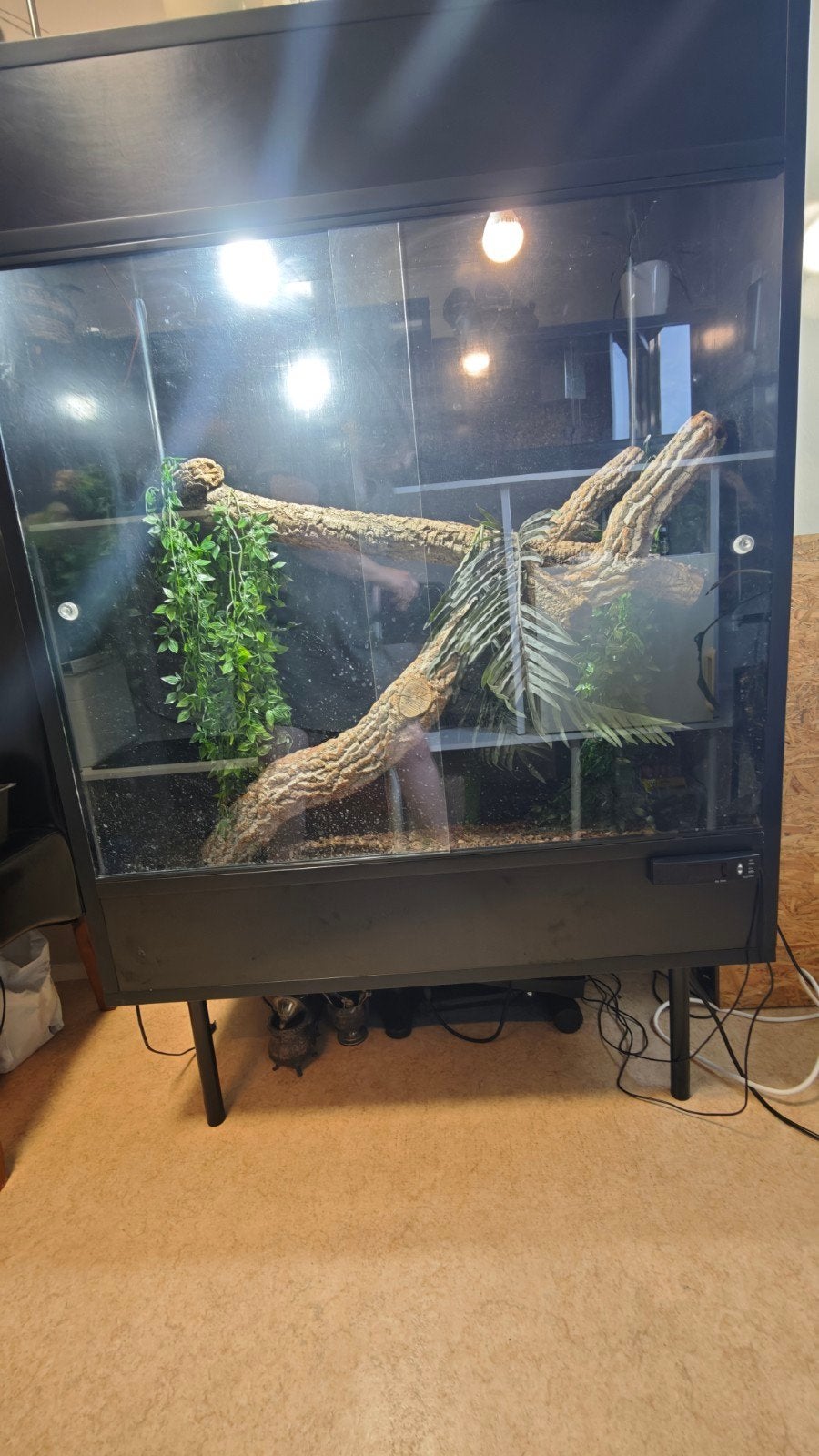 Terrarium betonplex, Dieren en Toebehoren, Ophalen, Zo goed als nieuw
