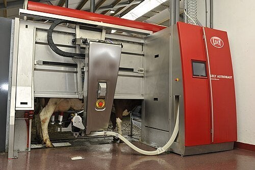 Lely A4 melkrobots bj 2015, Ophalen of Verzenden, Melktechniek