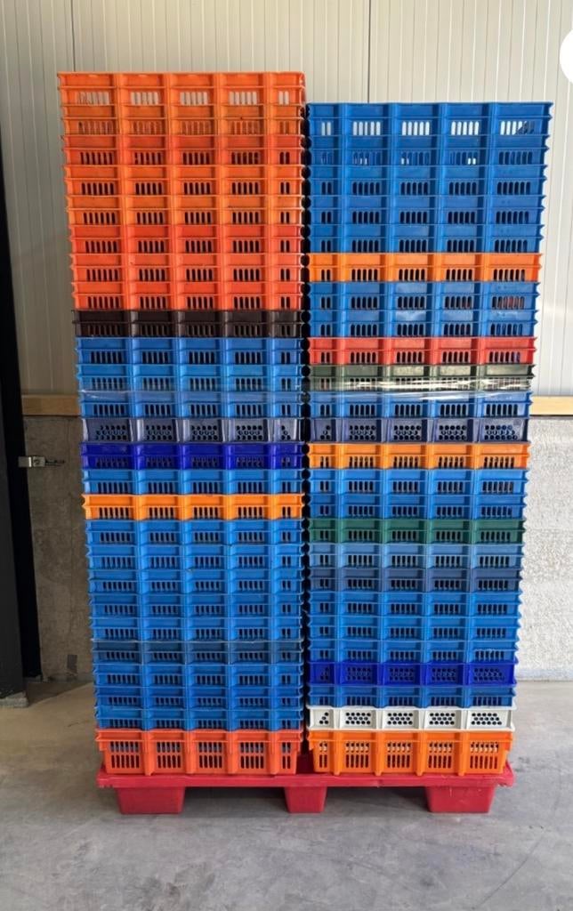 Kipkratten te koop (€200 per 100 stuks), 100 cm of meer, 60 cm of meer, Minder dan 35 cm, Ophalen of Verzenden
