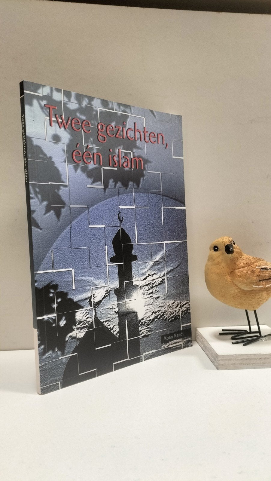 Raadt, Koen; Twee gezichten, een islam, Ophalen of Verzenden, Gelezen, Christendom | Katholiek