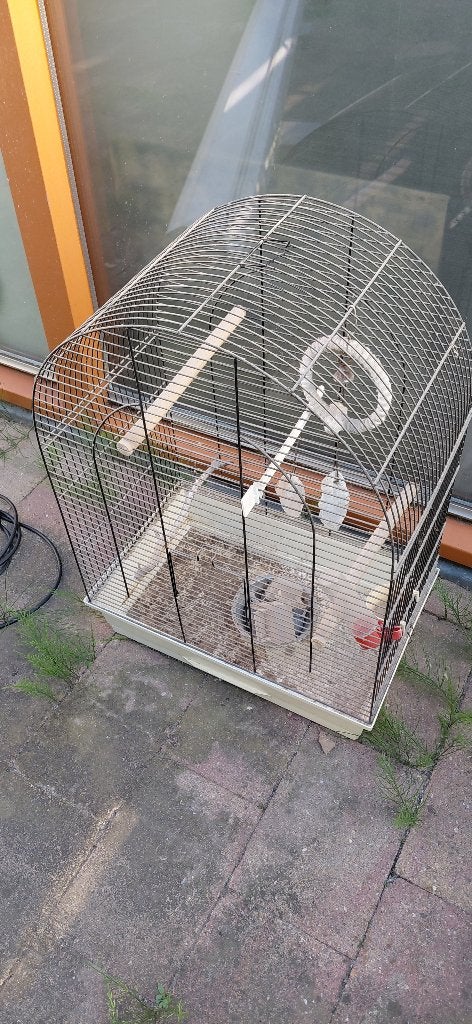 Vogelkooi, Ophalen, Gebruikt, Metaal, Vogelkooi