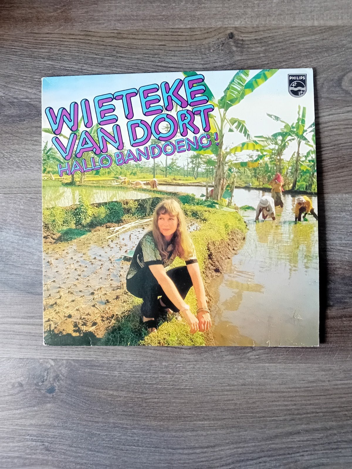 Wieteke van Dort - Hallo Bandoeng! (LP, Pop, 1979), Cd's en Dvd's, Gebruikt, Ophalen of Verzenden, 1970 - 1979, Pop