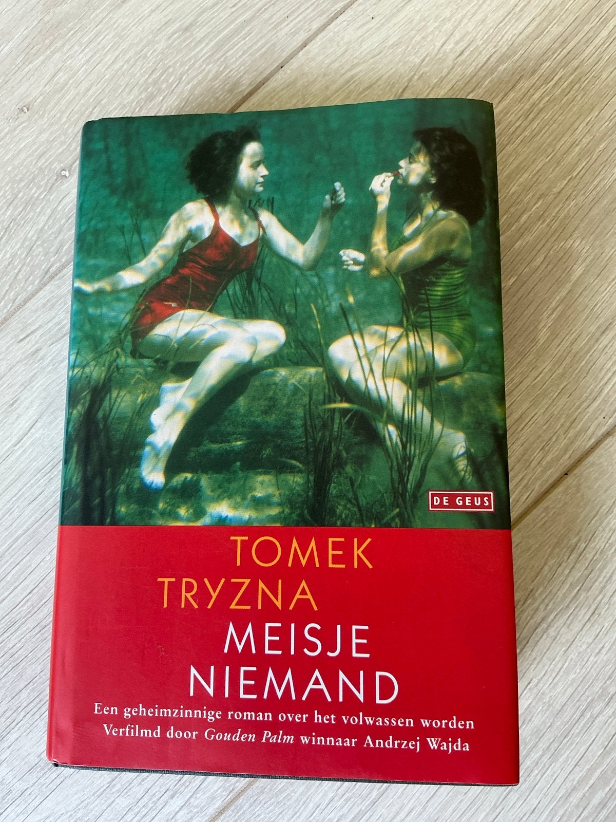 Meisje Niemand - Tomek Tryzna (Verfilmd door Andrzej Wajda), Ophalen of Verzenden, Gelezen, Europa overig
